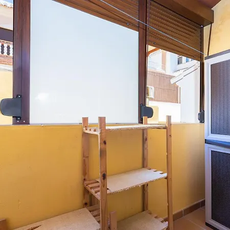 Lentisco Nerja